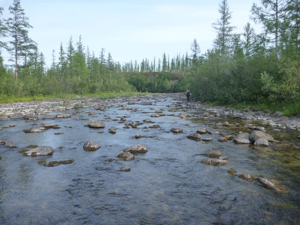 Водыыыыыыы!!!