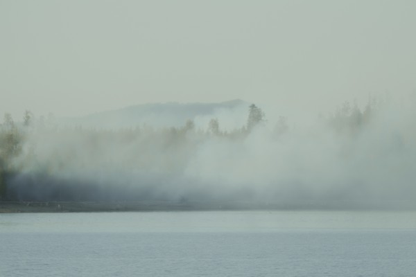 Около Светлогорска горит остров