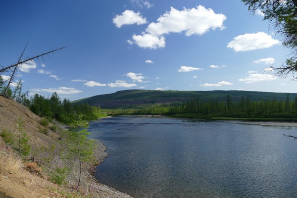 Место обеда, вроде