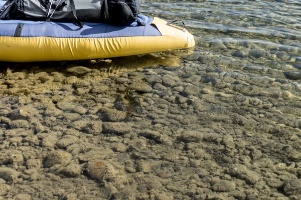 Нами заинтересовалась рыба...