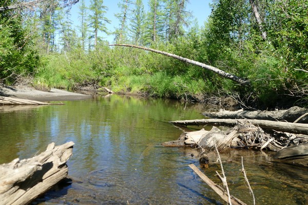 Местами можно проплыть десяток метров
