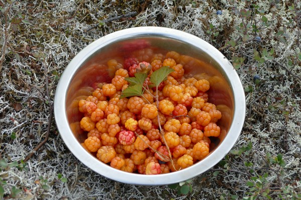 К утренней каше! Или.. настойка... :)