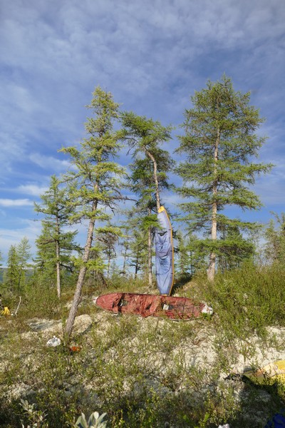 Сушим щуки :)