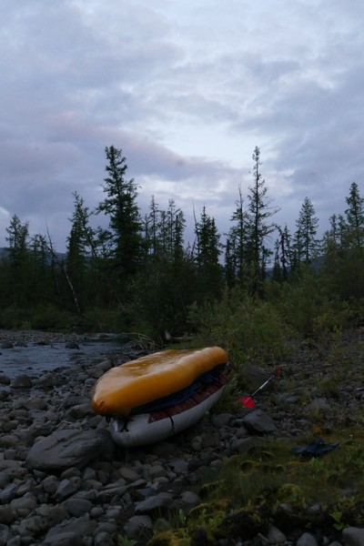 Щуки вместе, чтобы не скучали.