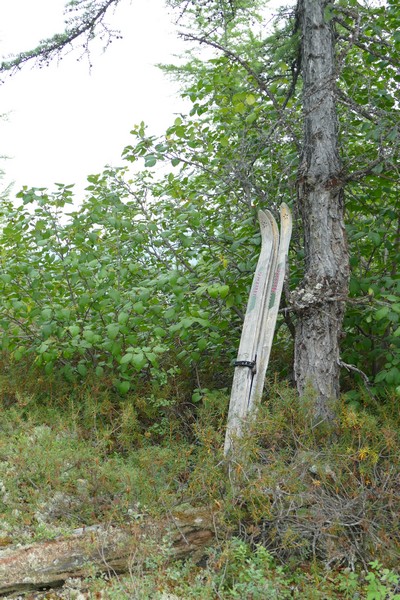Лыжи 'Вятка' охотничьи, 2 пары.