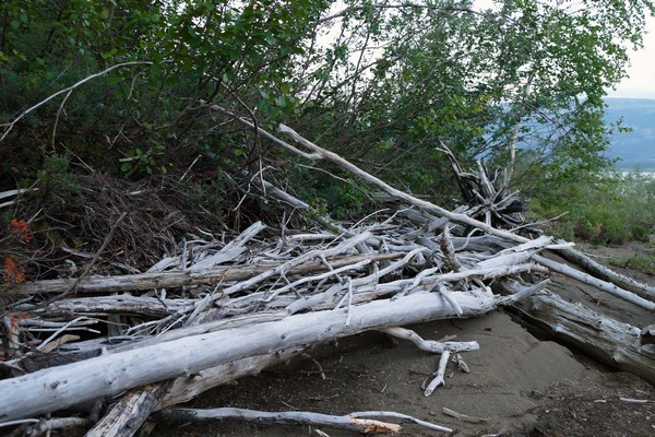 На стоянке полно дров! Халява!