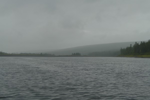 Погодка хмурая...