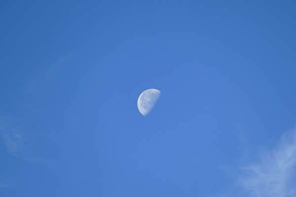 Спутник наш